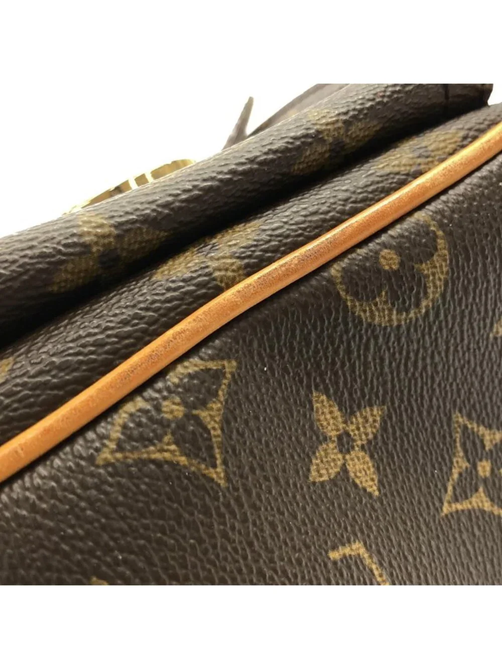 Louis Vuitton Monogram Hudson GM Shoulder